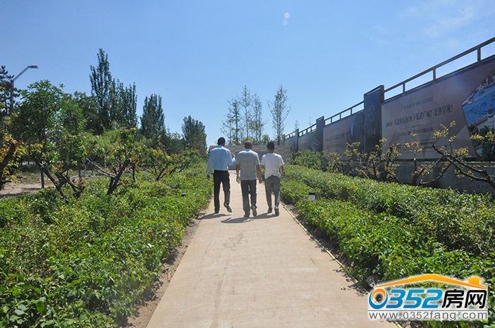 241555417fe8f9122e0910.jpg DSC_0047.JPG