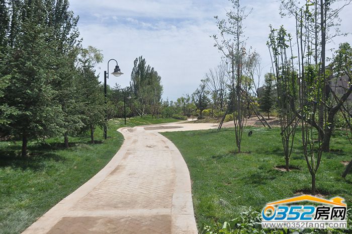 24155608eca86e3e7a1898.jpg 道路.jpg