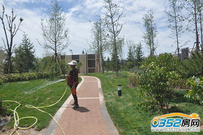 24155623a405df434b6003.jpg 綠化.JPG