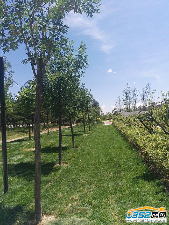 011220429cd4edfab53533.jpg 44.jpg