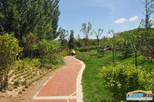 �Ǹ۳ǘӰ��g�G�������D