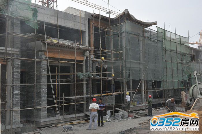 1110025209044146c68570.jpg DSC_0012.JPG