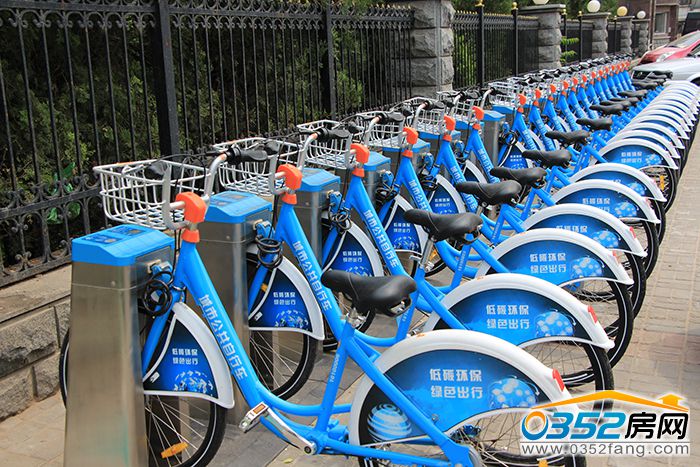 011504583833378f754715.jpg 03145113p8.JPG