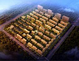 �͵�������������