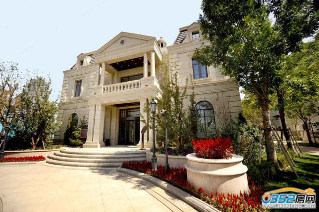 �͵���������������