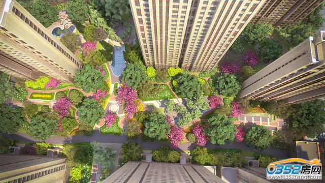 �Ŀ���Ч���D