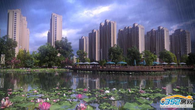 ���Ӿ�̖�ĿЧ���D