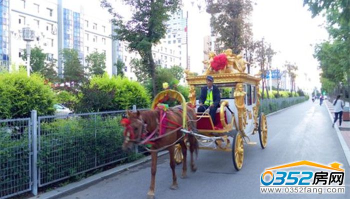 19141301f5fceec1495362.jpg 4e7ec8fcc3cec3fdbc771fc5de88d43f869427a5.jpg