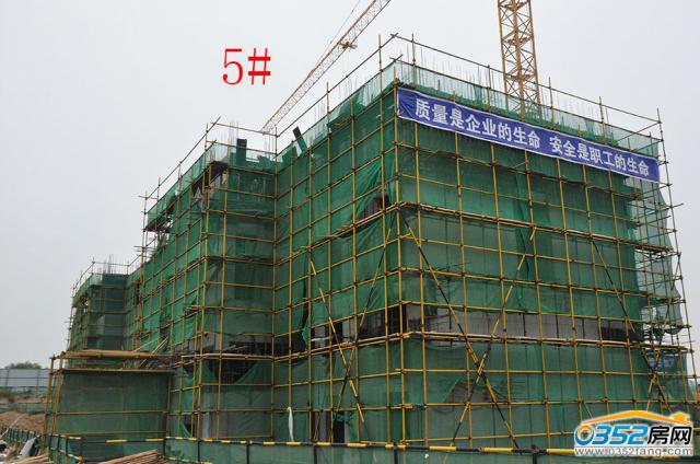 2016.9.17��5#����ʩ��