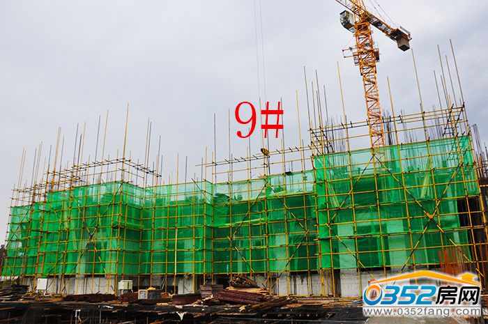 22190544a6faab20003555.jpg 9##.JPG