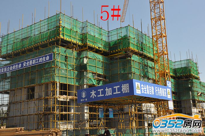 231719566593ced1242144.jpg 5#.jpg