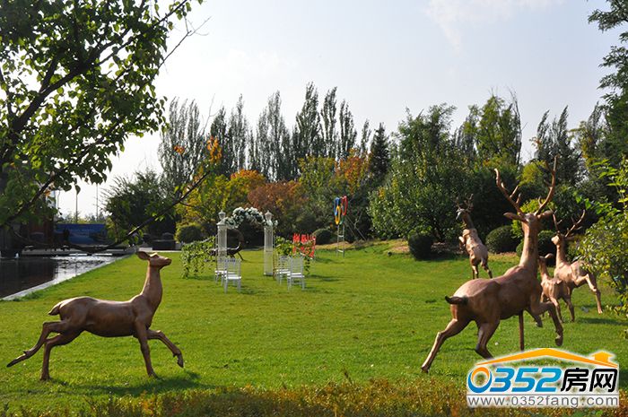 09155702cdc6e8a28f7200.jpg DSC_0015.JPG