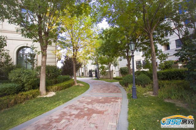 �ۘǲ���߅�G�������D