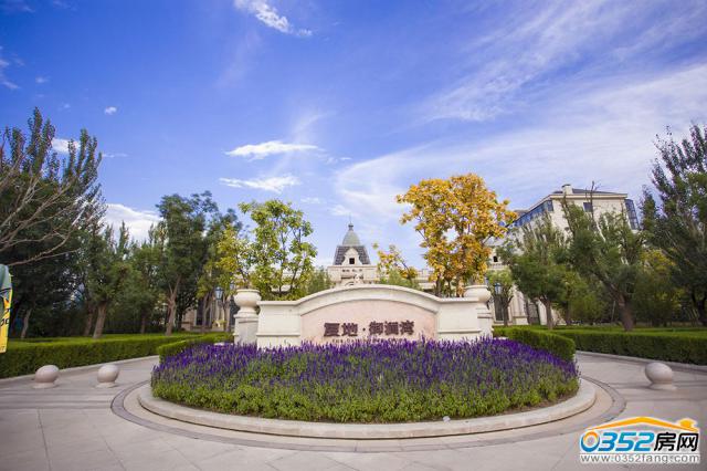 �͵�������С�^���