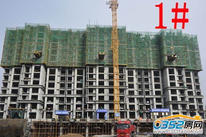 01164420e2ad1a3b761980.jpg 1#.JPG