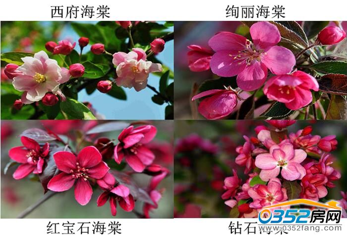 0216500111f92d074f9207.jpg 花花.jpg