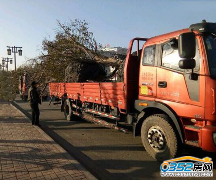 041548229f70a6928c7784.jpg 15d7baeef01f3a299014eb0b9125bc315e607c9e.jpg