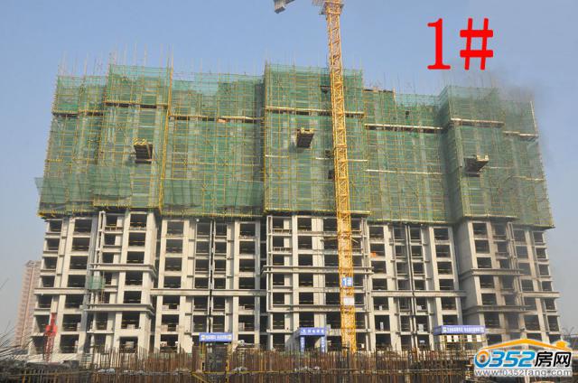 2016.11.16��1#����15��