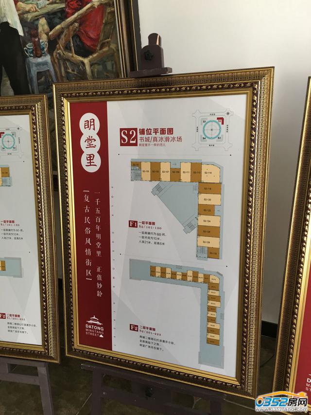 ��������DS2Ч���D