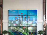 �������H�����D