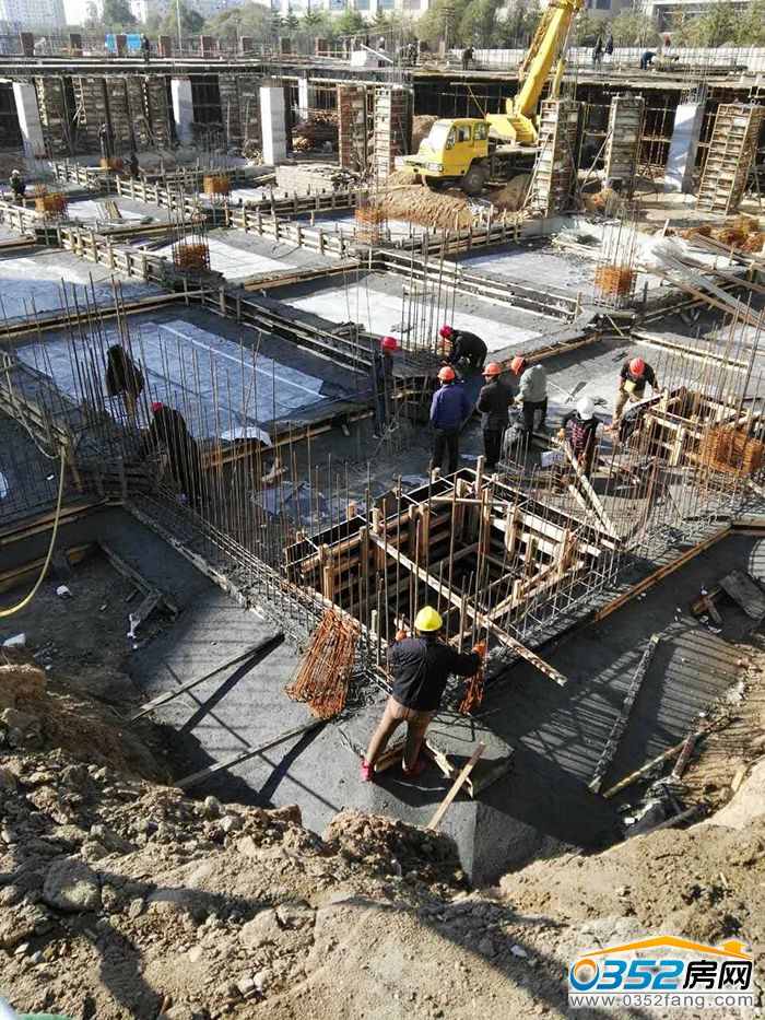 091105268aa41481fd4476.jpg 4.jpg