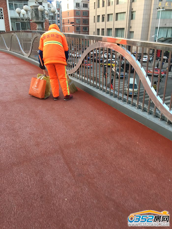 23144522ac0ee767215200.jpg IMG_0498.JPG