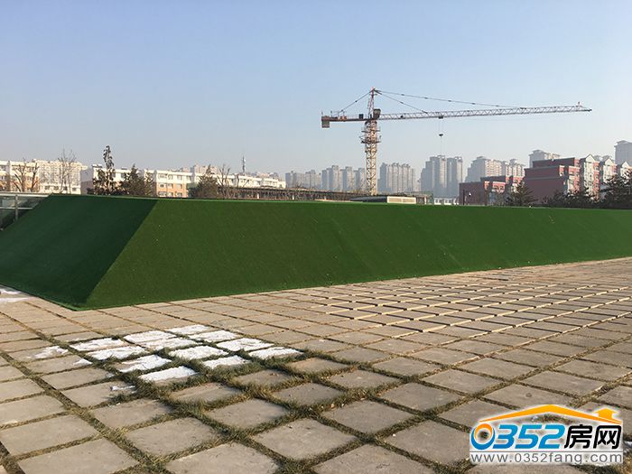 241450295f347861c20400.jpg 6.JPG