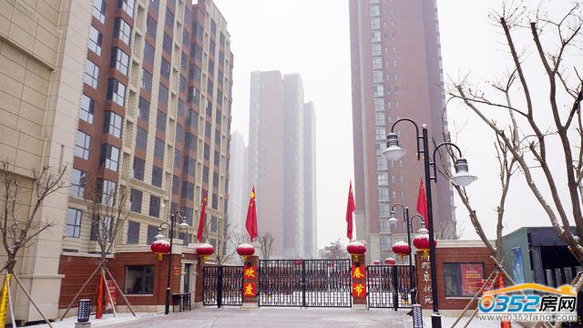 �п�����Է���