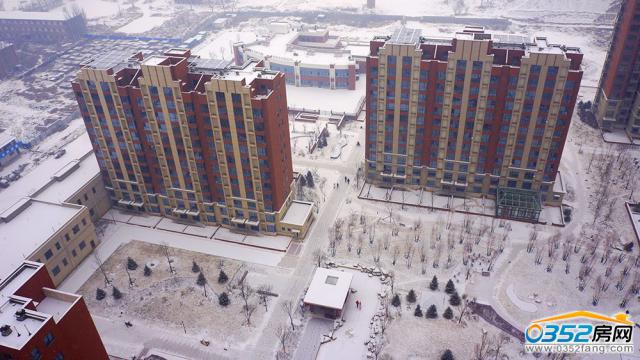 С�^�B�ѩ���D