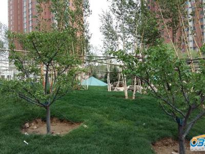 С�^(q��)�G���h(hu��n)��