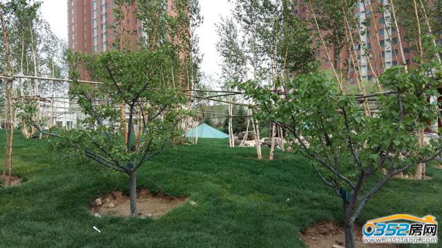 С�^�G���h��