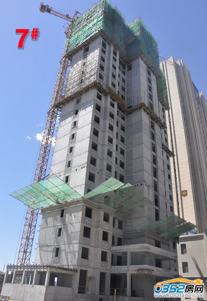 10155309370d1566184126.jpg 7.jpg