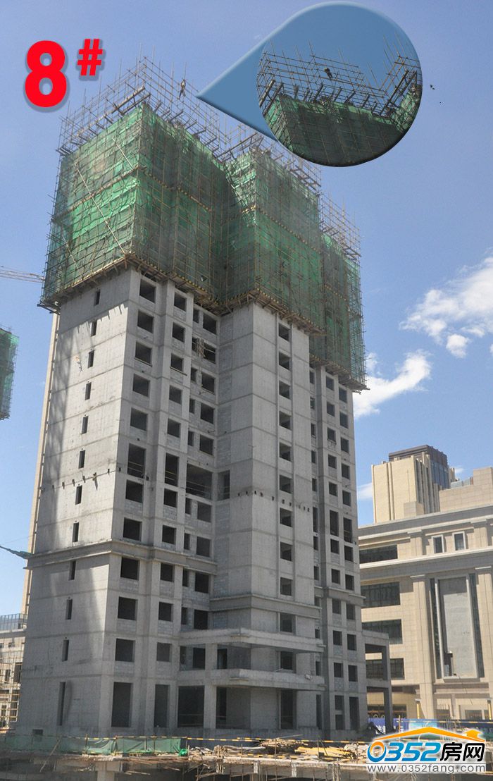 10155434877ec40d208053.jpg 8.jpg