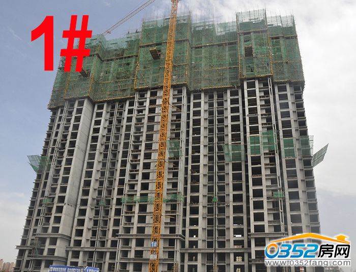 1217390058f86bf3b48343.jpg 1 .JPG