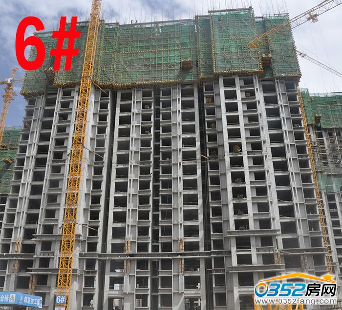 121740031147faac0a9592.jpg 6.JPG