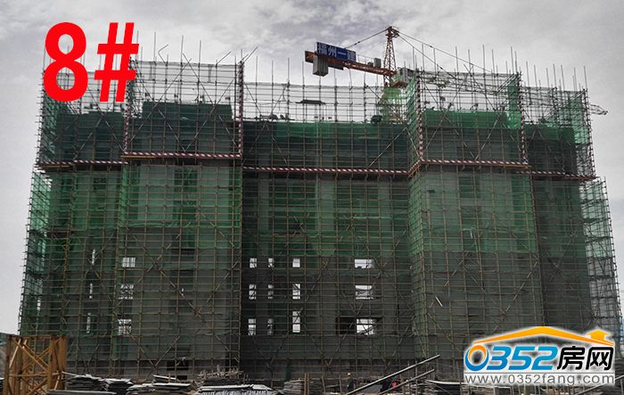 12174040331e951f710594.jpg 8.jpg