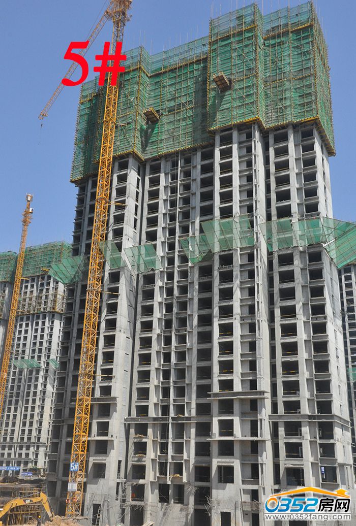 2617481654f70532232759.jpg 5.jpg