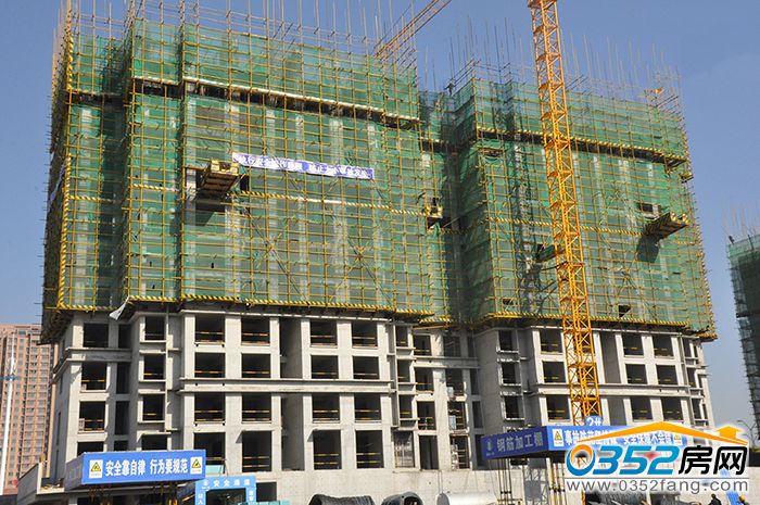 29173643588e515cbb2984.jpg 10.18.JPG