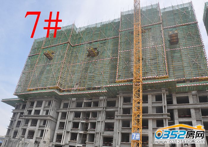 14172010b5464b78482963.jpg 7.JPG