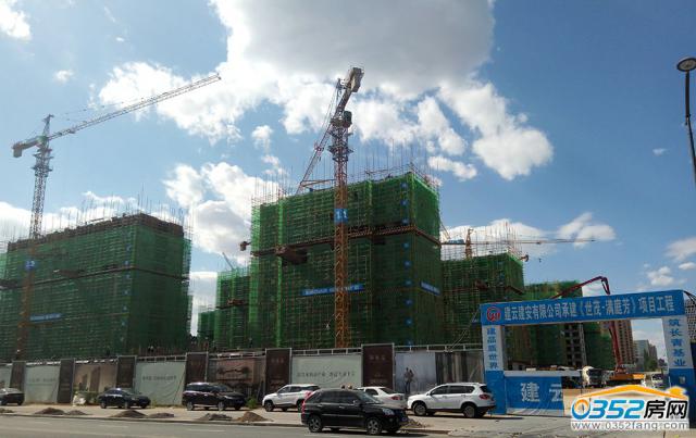 2017.6.20�՝Mͥ�������D