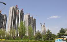 �^���A�� 3��2�d1�l 115�O