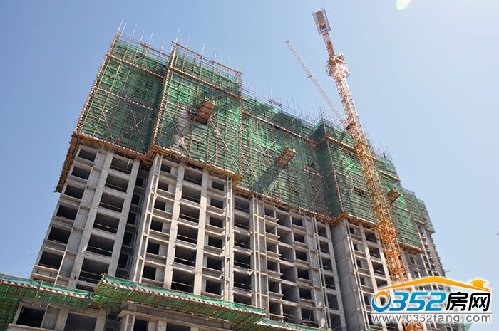 10163132504a7e1c440695.jpg 7.JPG