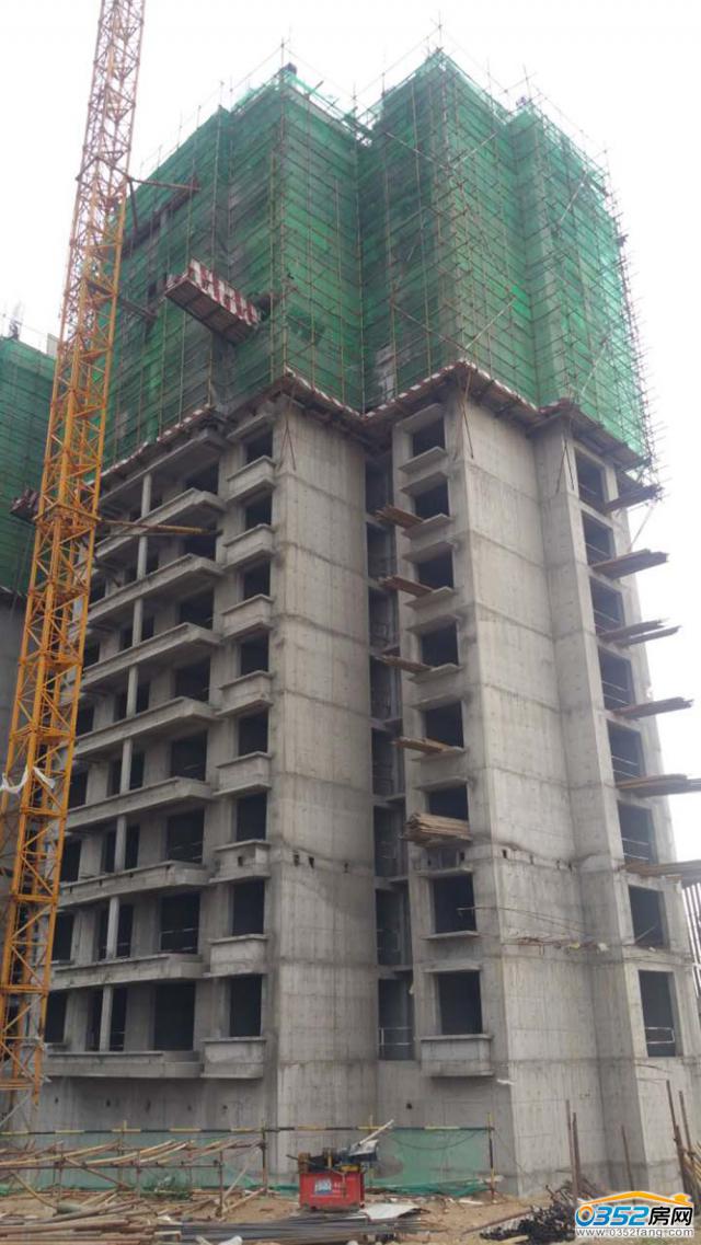 2017.7.11�����M��