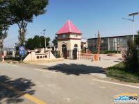 ����С悌����D