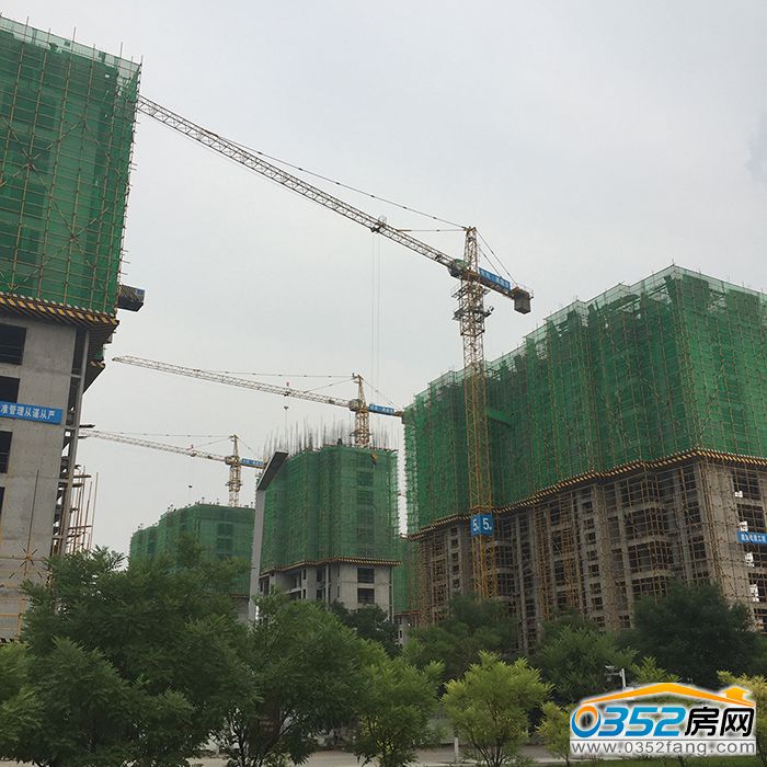 13150733d75a51c2a63005.jpg 8.jpg