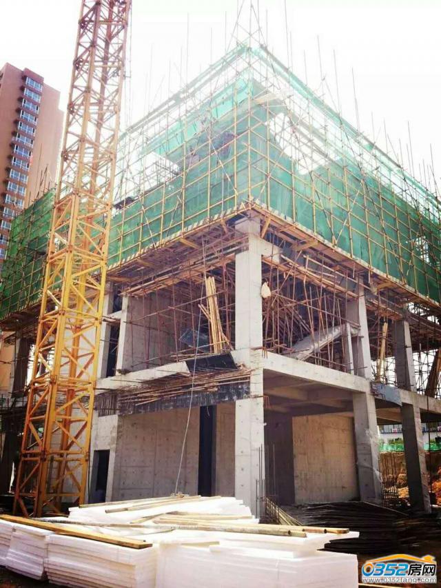 �f���B��2017.7.24�����M��