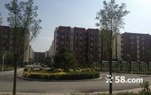 κ���³� 2��1�d1�l(w��i) 62�O��t��