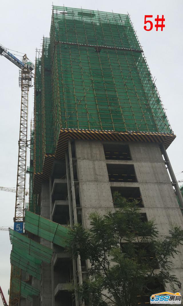 8.1�Mͥ��5#�ǹ����M��