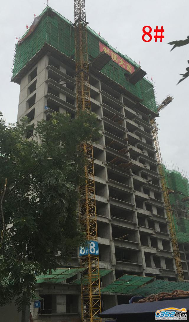 8.1�Mͥ��8#�ǹ����M��