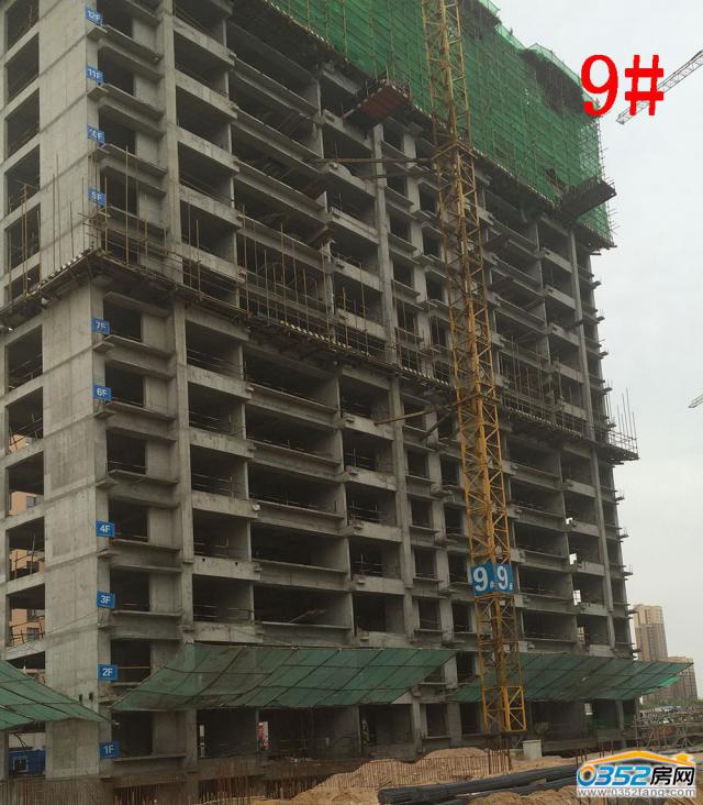 8.1�Mͥ��9#�ǹ����M��